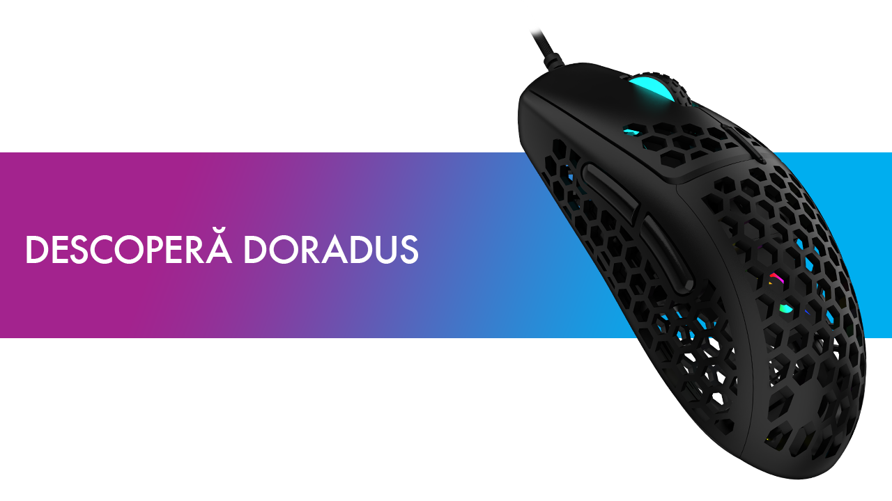 Souris Gamer AQIRYS DORADUS - Filaire RGB - 12000 ppp, Black