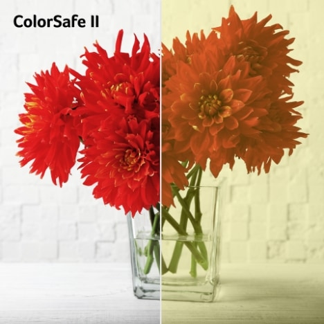 002---Acer-ColorSafe-II_67bbe819.jpg