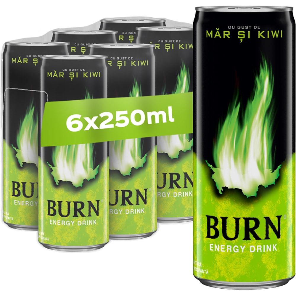 Bautura energizanta BURN Apple Kiwi bax 0.25L x 6 doze