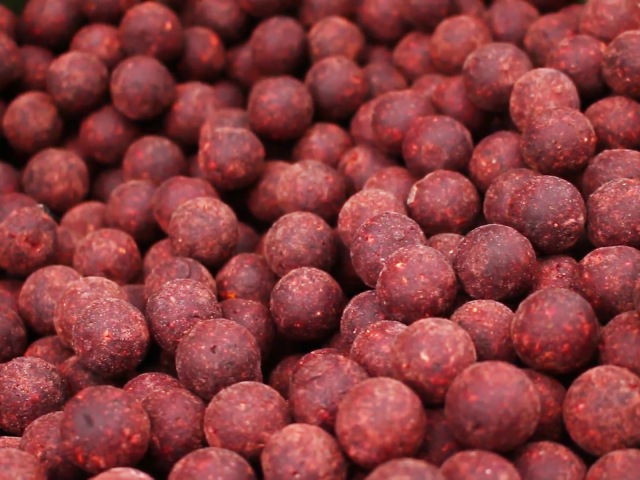 Select Baits boilies Meat & Fish + Squid & Octopus & Cranberry