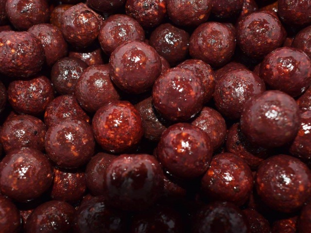 Select Baits boilies Meat & Fish + Squid & Octopus & Cranberry