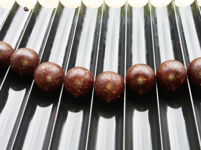 Select Baits boilies Meat & Fish + Squid & Octopus & Cranberry
