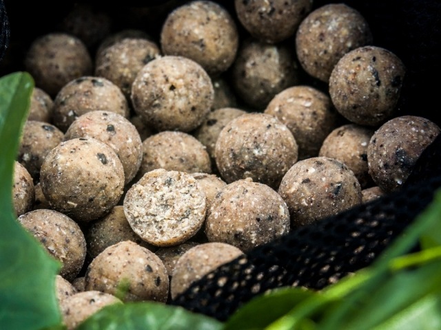 Select Baits boilies Nutty Scopex