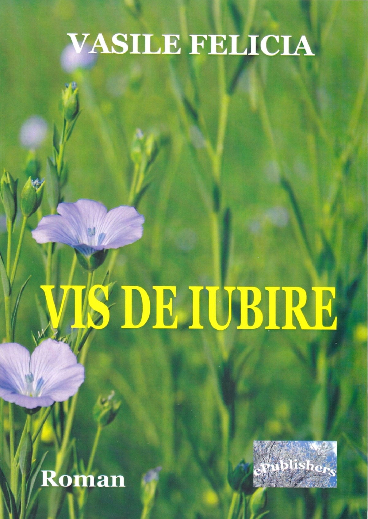 Vis de iubire - Vasile Felicia