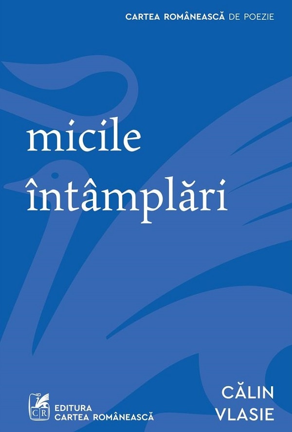 Micile intamplari - Calin Vlasie