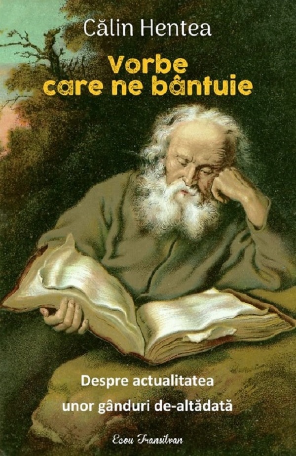 Vorbe care ne bantuie - Calin Hentea