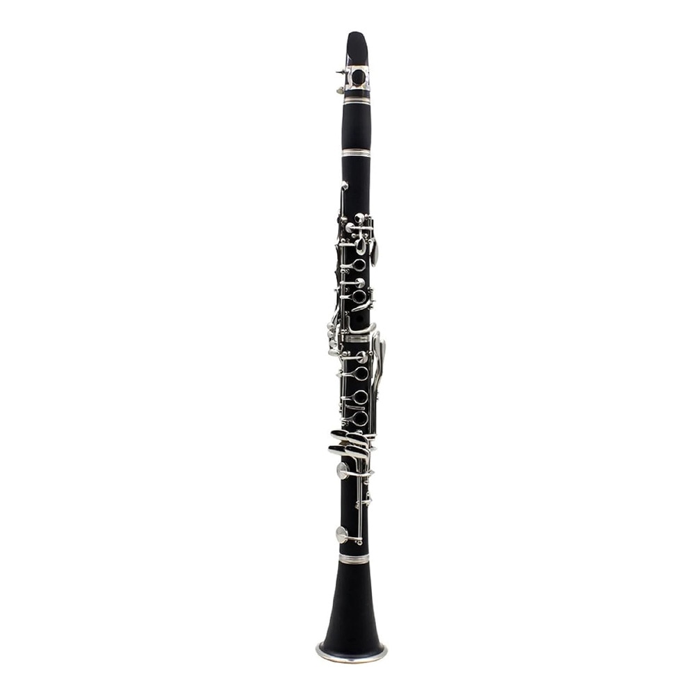 Clarinet B cu accesorii in geanta de umar