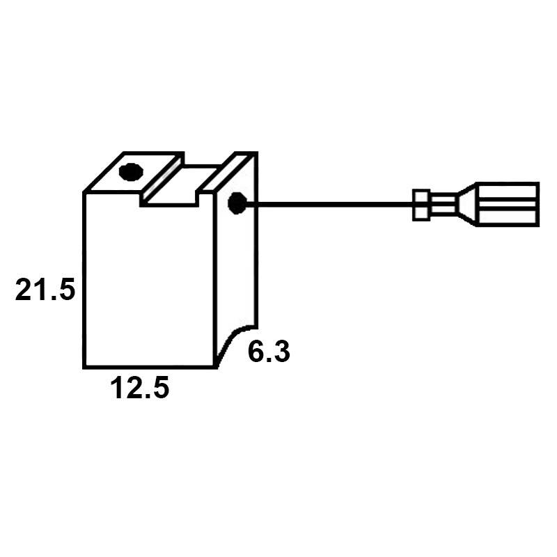 Set perii colectoare ASEIN (pentru DeWalt 381028-08), 12,5x6,3x21,5mm, ASEIN