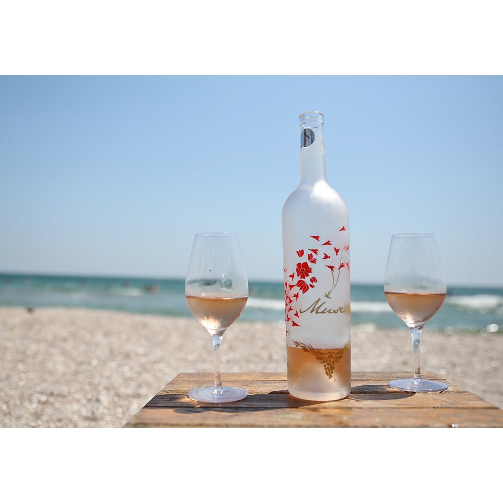 Vin rose sec Cramele Recas Muse Day Rose 2021, 0.75L