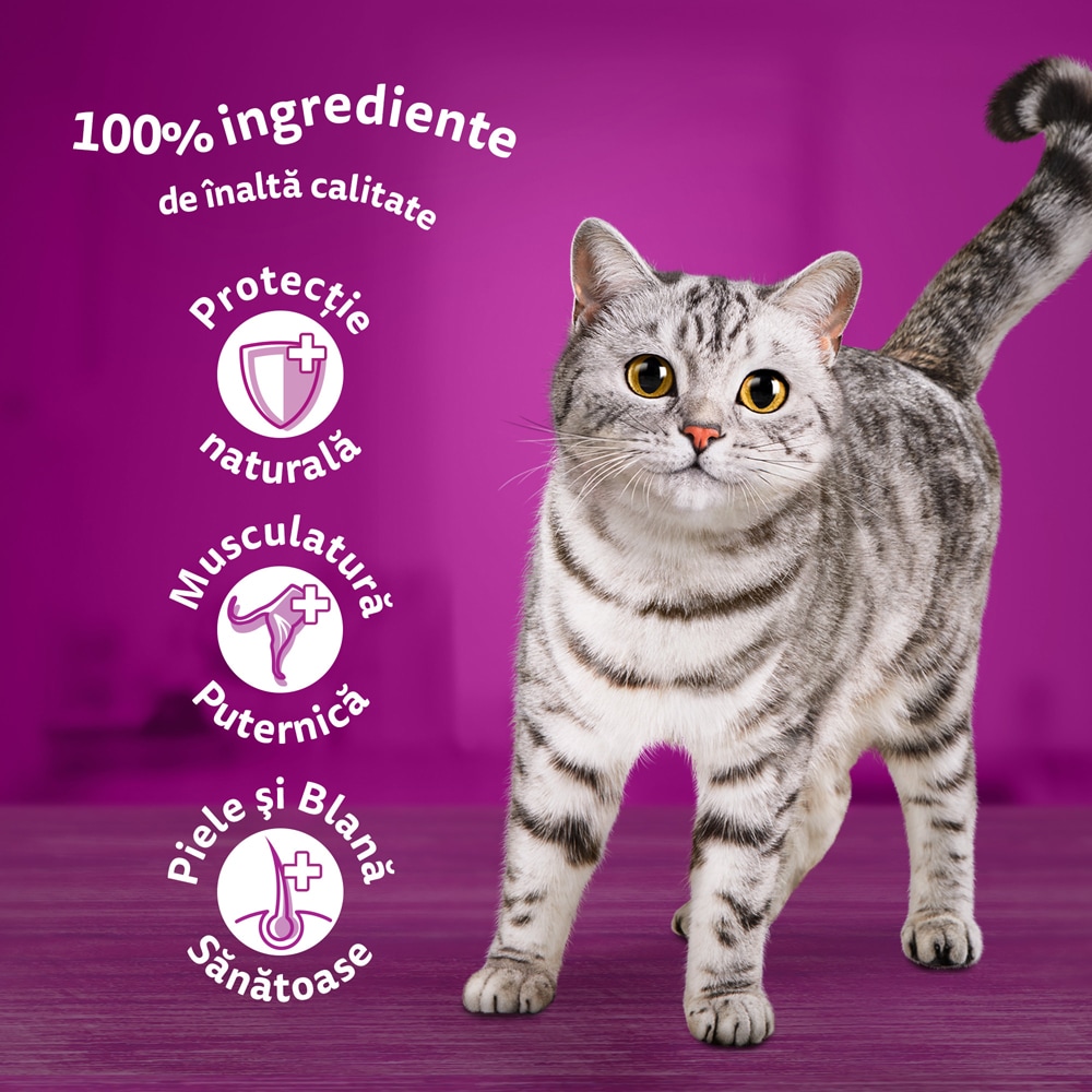 Hrana umeda pentru pisici WHISKAS Mese Clasice, Adult, Mix in sos, 40 x 85g