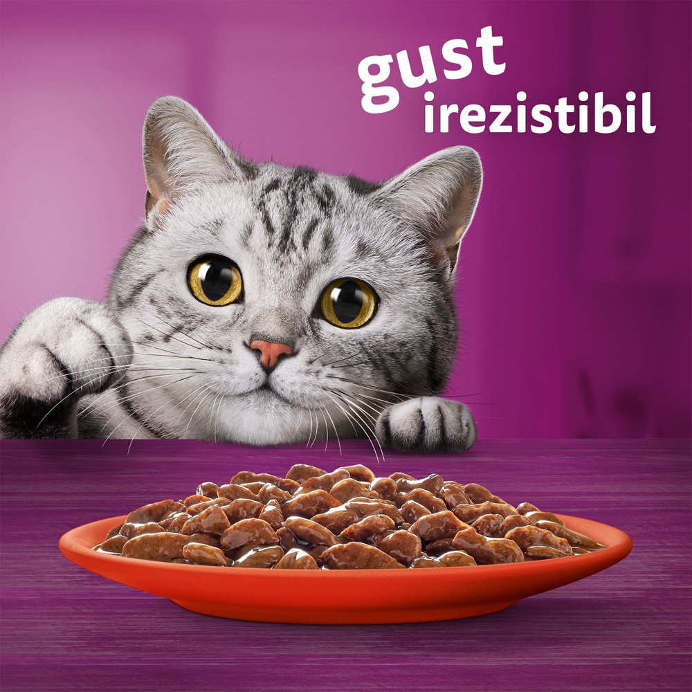 Hrana umeda pentru pisici WHISKAS Mese Clasice, Adult, Mix in sos, 40 x 85g
