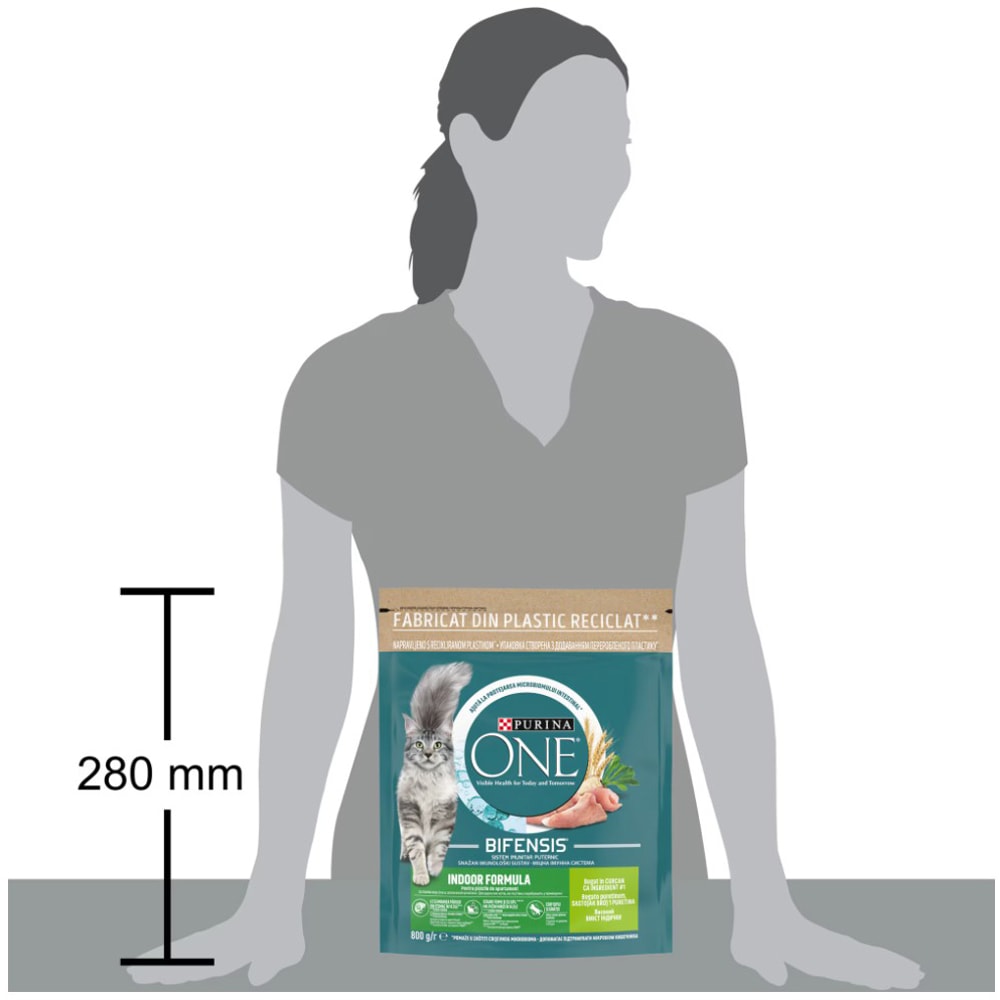 Hrana uscata pentru pisici PURINA ONE Indoor, Adult, Curcan, 800 g