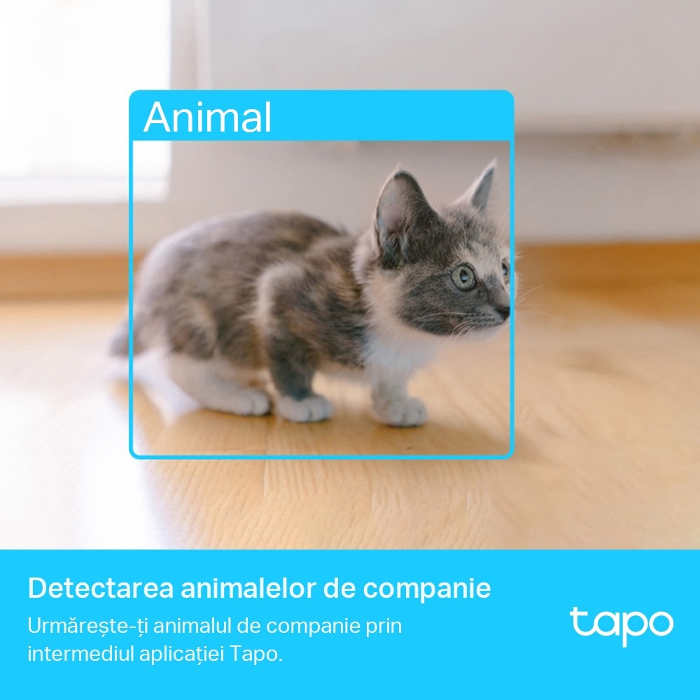 Camera IP Wireless interior TP-LINK Tapo C225, 4MP, QHD 1440P, IR, Night Vision, Alb
