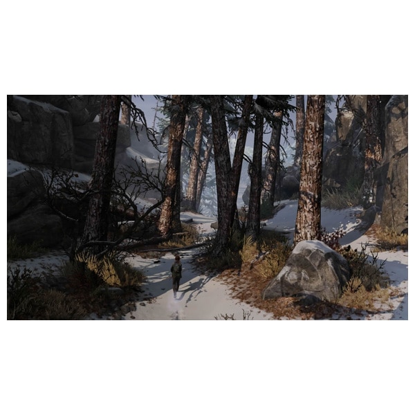 The Last of Us: Remastered PlayStation Hits PS4