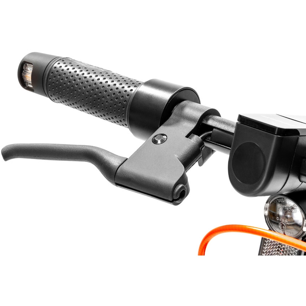 Trotineta electrica DUCATI PRO-I EVO MAX AS, 10 inch, pliabila, negru-albastru
