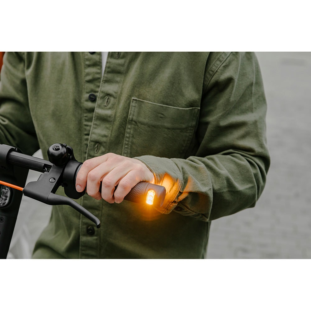 Trotineta electrica NINEBOT KickScooter F2 Plus, 10 inch, negru