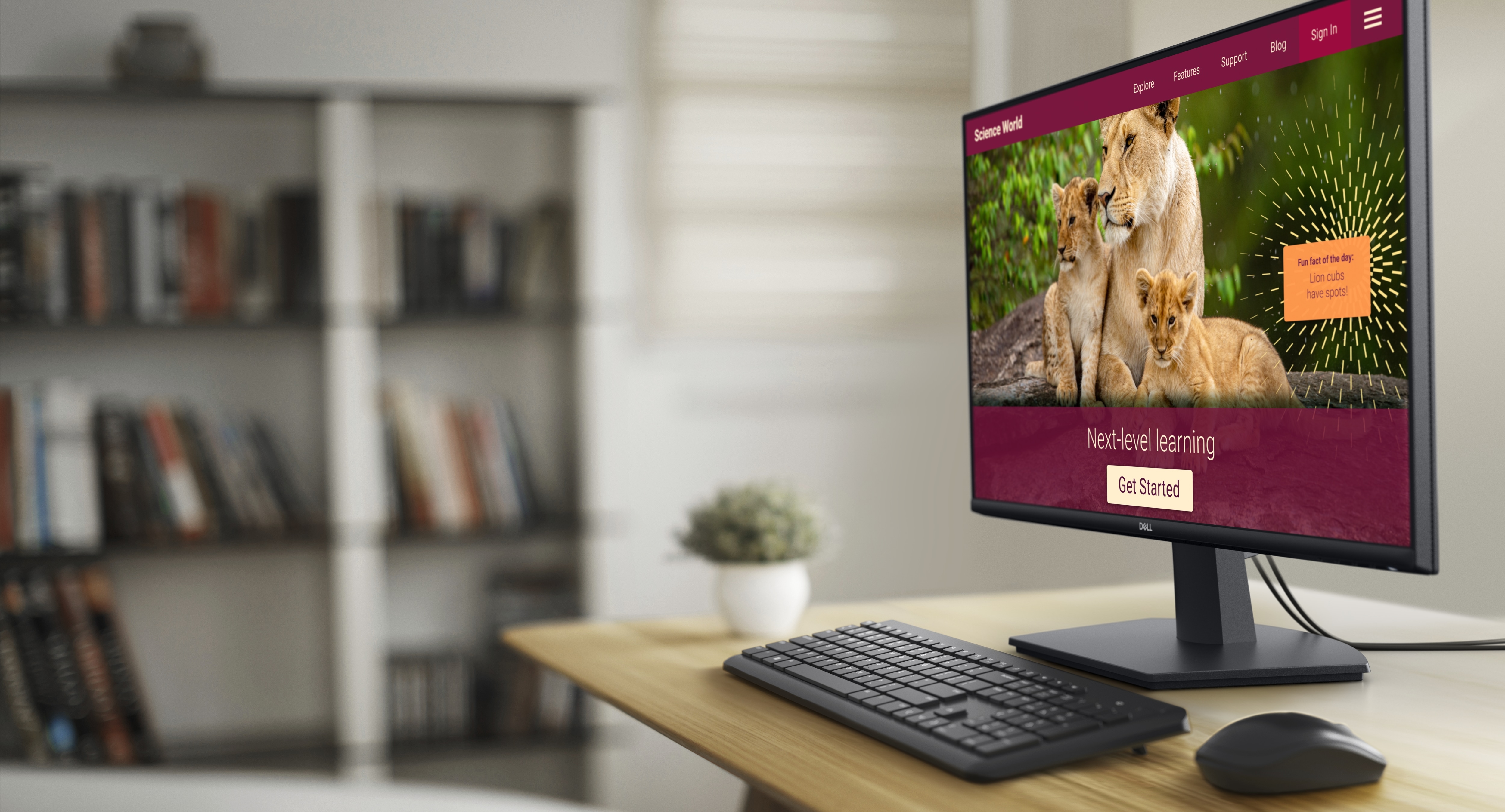 Monitor LED IPS DELL SE2725HM, 27
