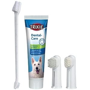Produse igiena dentara