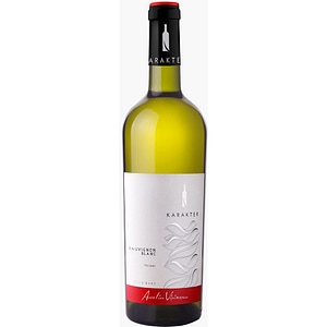 Vin alb sec Aurelia Visinescu Karakter Sauvignon Blanc, 0.75L
