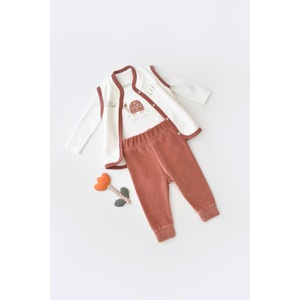Set 3 piese Baby Cosy broscuta cu body, pantalonasi si vestuta, 80% bumbac organic si 20% poliester, caramiziu, marime 3-6 luni
