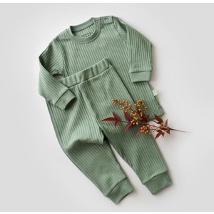 Set bluzita cu maneca lunga si panataloni lungi Baby Cosy, bumbac organic si 5% elastan