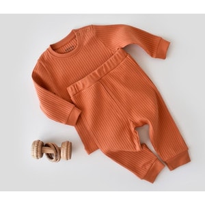 Set bluzita cu maneca lunga si panataloni lungi Baby Cosy, bumbac organic si 5% elastan