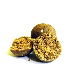 Select Baits boilies Belachan + Mussel & Belachan 20mm (fierte) / 1 kg