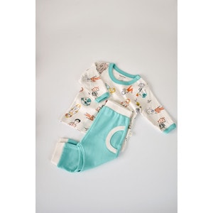 Set bluzita cu maneca lunga si pantaloni lungi BabyCosy, 100% bumbac organic, verde, 6-9 luni