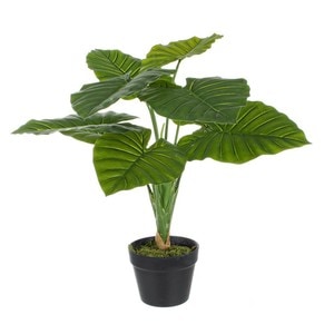  Planta artificiala in ghiveci, Dieffenbachia, 45 cm inaltime, 20 frunze