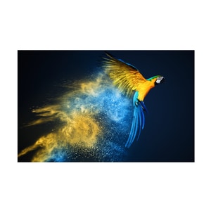 Tablou canvas 4Decor, Soaring parrot, 60x90cm, DE0387