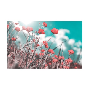 Tablou canvas 4Decor, Red flowers, 60x90cm, DE0296