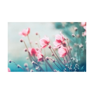 Tablou canvas 4Decor, Flower bud, 60x90cm, DE0295