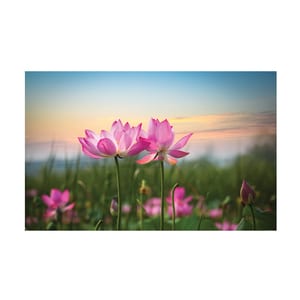 Tablou canvas 4Decor, Flower meadow, 60x90cm, DE0183