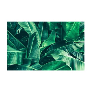 Tablou canvas 4Decor, Green life, 60x90cm, DE0268