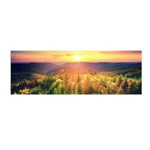 Tablou canvas 4Decor, Birdseye, 50x150cm, DE0236