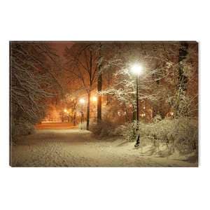 Tablou DualView Startonight Iarna in parc, luminos in intuneric, 60 x 90 cm