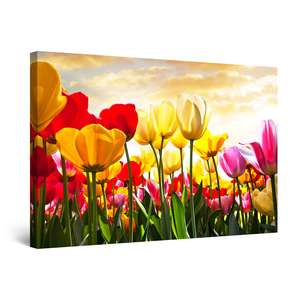 Tablou DualView Startonight Camp de Lalele, luminos in intuneric, 90 cm x 60 cm