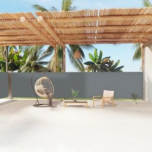 Copertina laterala retractabila, antracit, 160x1200 cm, sol-318068