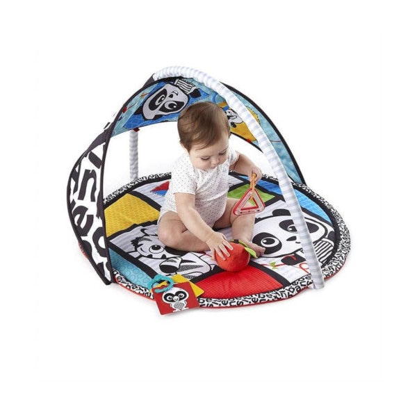 Baby einstein sale bold new world