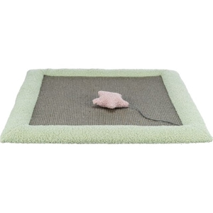 Covoras pentru zgariat, Trixie Junior, Gri/Verde Menta, 47 x 47 cm, 44437