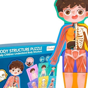 Puzzle din lemn sistemele Corpului uman - Baietel