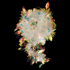 Beteala iridescenta cu frunzulite Holly, 9cm x 2m, transparenta cu irizatii, multicolor