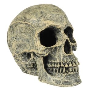 Decor Pentru Acvariu, Laroy, Craniu, 16x10,5x13,2 cm, L234/449103