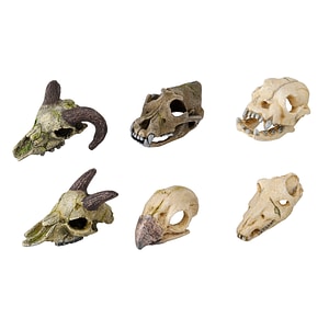 Aqua Della Decor Pentru Acvariu, , Mini Craniu, 7-10 cm, Diverse Modele, L236/237878