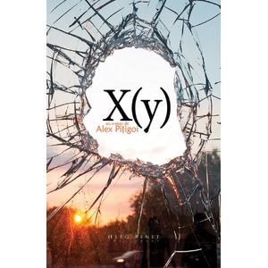 X (y) - Alex Pitigoi