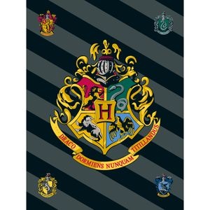 Patura Polar 100 x 150 cm, multicolor, Harry Potter, HP067