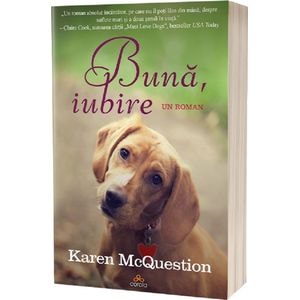Buna, iubire - Karen Mcquestion