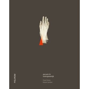 Ascuns in transparenta - Robert Serban