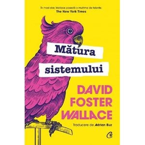 Matura sistemului - David Foster Wallace