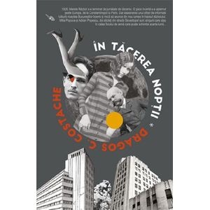 In tacerea noptii - Dragos C. Costache